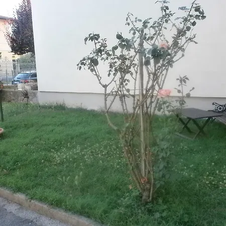 La Magnolia Appartement *